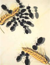 Haga click para ver la imagen ampliada 1936_30_the ants 1936-37.jpg